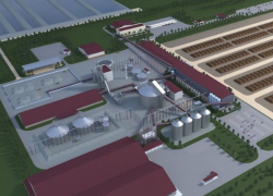 Китайский инвестор вышел из проекта по строительству сахарного завода в Ростовской области