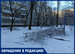 В Ростове пожаловались на не убранные с декабря упавшие ветки