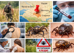 На Ростовскую область надвигаются опасные «догоняющие клещи-мутанты»