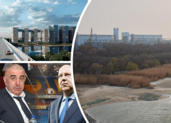 За деньги — нет: ростовские бизнесмены хотят бесплатно получить участок с рощей на левом берегу Дона 