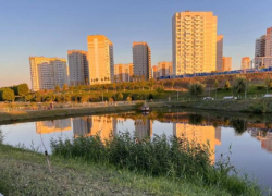 Зелень, пробки и ковры из бычков: как живет ростовский микрорайон Суворовский