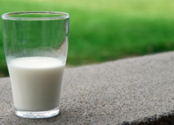 Из Ростовской области в Абхазию отправили 8,2 тонны молочной продукции