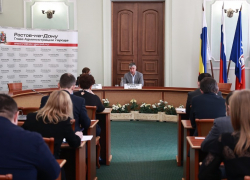 Власти Ростова решили разработать собственные меры поддержки экономики