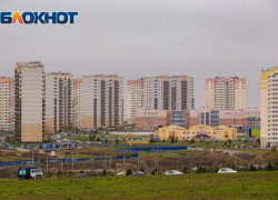 В Суворовском продолжают отлавливать бездомных собак