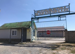 Белокалитвинскую птицефабрику купили за 440 миллионов рублей