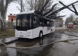 Автобус с пассажирами загорелся после падения на него дерева в Ростовской области