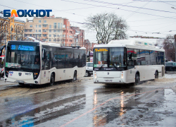 Выделенную полосу на проспекте Ленина в Ростове не успели сделать в 2024 году