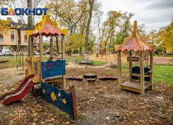 Прокуратура обязала власти Ростова содержать и убирать парк 8 Марта
