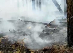 В Ростовской области увеличилась площадь пожара в лесничестве