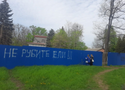 Ростовские экозащитники поедут в Москву, чтобы в Верховном суде защитить «зеленую зону»