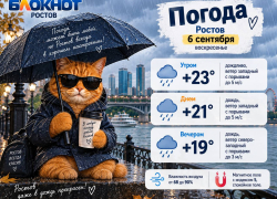 Дождливо и до +23 градусов будет в Ростове 6 сентября