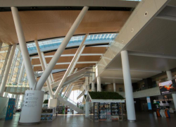 В ростовском аэропорту Платов с рейса сняли пьяного дебошира