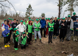 После пожара 2017 года в Ростовской области восстановили лес 