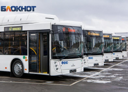 «Ростовпассажиртранс» планирует закупить 90 автобусов в лизинг, хотя нехватка водителей составляет 51%