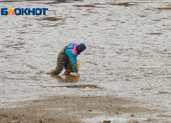 В Ростовской области инспекция Минприроды не выявила сброса сточных вод в Мокро-Соленовский залив 