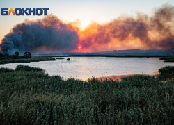 Власти Ростовской области оправдали плановые выжигания растительности