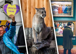 Зоопарк, музеи и театр в кино: куда пойти в Ростове на этой неделе