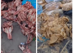 В Ростове на Левенцовке обнаружили свалку из останков животных