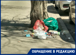 «Люди — свиньи. Но куда смотрят чиновники?»: ростовчанка о мусорных кучах в центре города