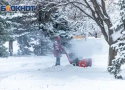 В Ростове снег с улиц свозят на 11 спецплощадок