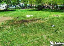 В Новочеркасске у школы обнаружили подорвавшегося на гранате мужчину