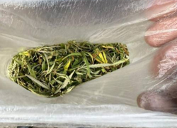 В Ростовской области у мужчины нашли наркотики, спрятанные в черном свертке 