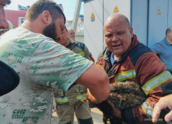 В Ростовской области произошло около 300 пожаров за прошедшую неделю 