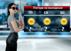 На выходных в Ростове будет солнечно, потеплеет до +26 градусов 