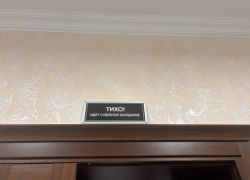 На длительный срок осудили участника украинского нацбатальона в Ростове 