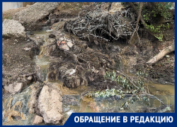 В Ростове сточные воды продолжают стекать в Безымянный ручей 
