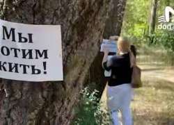 Экоактивисты вышли обнимать деревья в Кумженской роще в Ростове