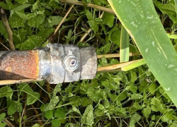 Специалисты обнаружили сброс нечистот в реку Северский Донец в Ростовской области