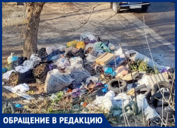 Мусорные баки раздора: контейнерная площадка в Первомайском районе Ростова доставляет головную боль жителям и УК