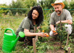 Ростовских дачников предупредили о штрафах до 50 тысяч рублей