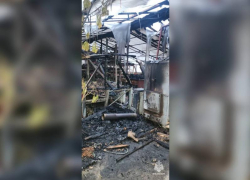 Пытался потушить пожар в теплице и погиб мужчина в Батайске