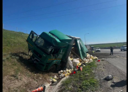 Прокуратура Ростовской области начала проверку после смертельного ДТП с участием дорожников