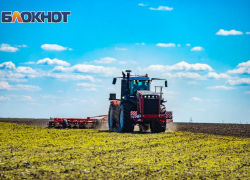 Из-за непогоды в Ростовской области прогнозируется снижение урожая зерновых