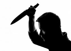 В Ростовской области пожилого мужчину подозревают в жестоком убийстве зятя