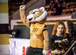 «Ростов-Дон» подал заявку на участие в новом сезоне Лиги чемпионов