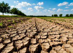 Дефицит осадков в Ростовской области превысил 30%