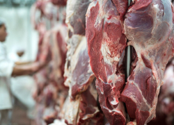 Самую дешевую свинину продают в Ростове 