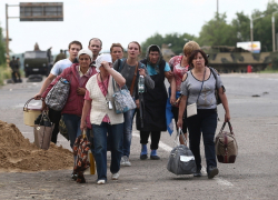 В Ростовской области сократилось количество беженцев 
