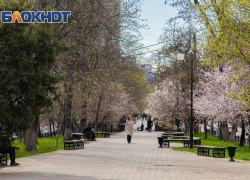 В Ростове 2 апреля потеплеет до +17 градусов и ожидается слабая магнитная буря