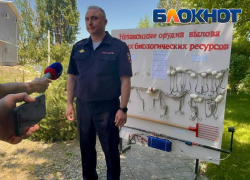 В Ростовской области нашли 30 тонн опасной рыбы на почти 10 млн рублей 