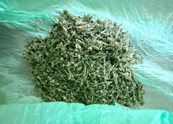 Марихуану хранил в ковролине: в Миллерово задержан ранее судимый мужчина