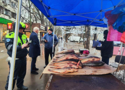 На Дону в 2026 году продолжат борьбу с незаконной торговлей