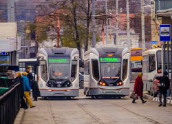 Министр транспорта Дона Алена Беликова: проект ростовского трамвая будет секвестирован