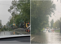 Деревья падали, автобусы и машины тонули в реках воды: показываем последствия ливня в Ростове