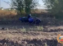 В Ростовской области мотоциклист не справился с управлением и врезался в дерево