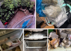 Трое безработных мужчин организовали производство и сбыт наркотиков в Ростовской области